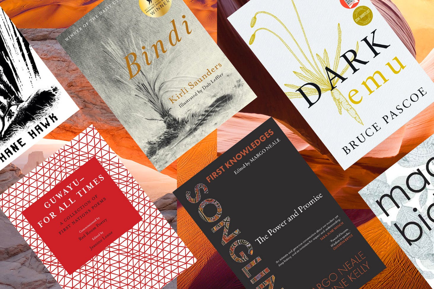 collage of the books written by first nations authors